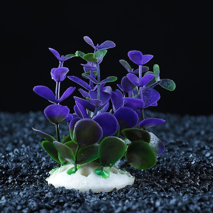 Растение искусственное аквариумное кустовое, 10 см, микс цветов 
