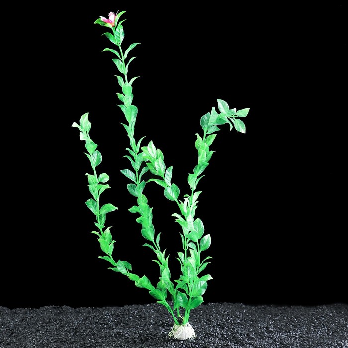 Растение для аквариума, до 40 см, пластик 