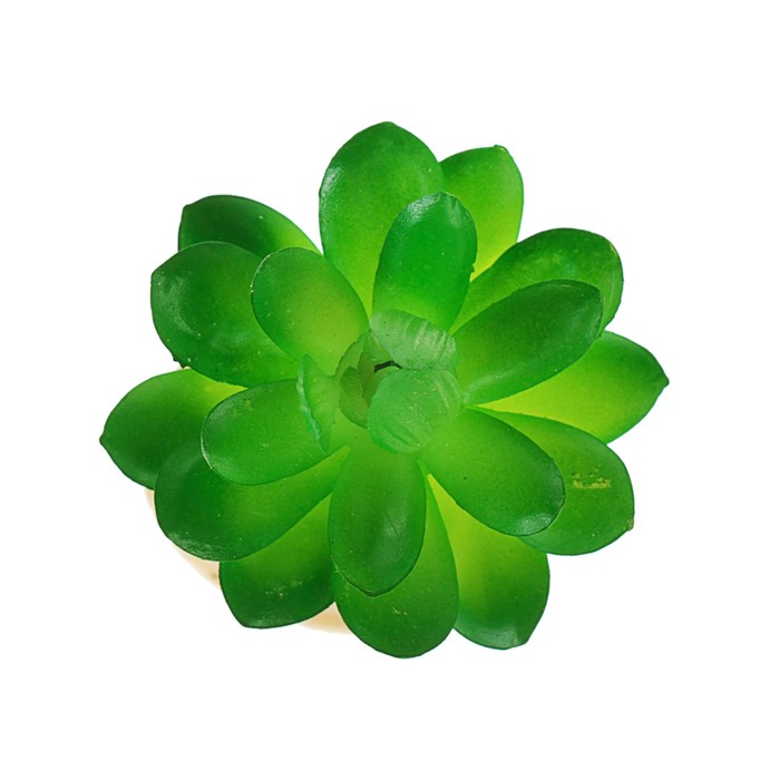 Растение искусственное аквариумное с объемными листьями, 7 х 7 х 8 см 