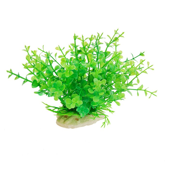 Растение искусственное аквариумное, 14 х 8 х 12 см 