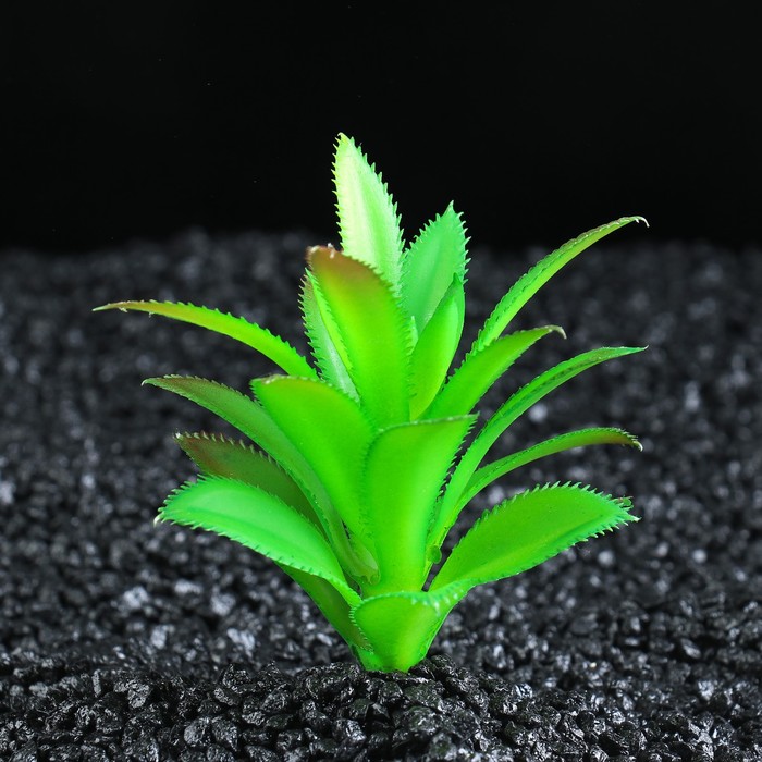 Растение искусственное аквариумное с объемными листьями, 8 х 8 х 9 см 