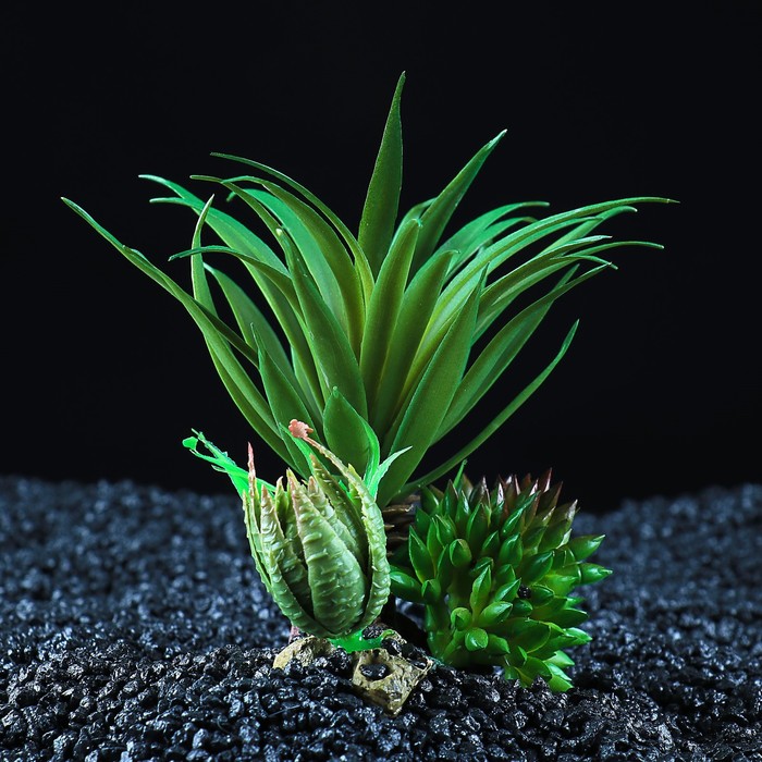 Растение искусственное аквариумное, 11 х 11 х 13 см 