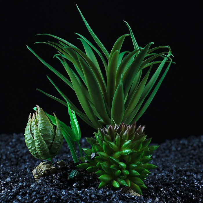 Растение искусственное аквариумное, 11 х 11 х 13 см 