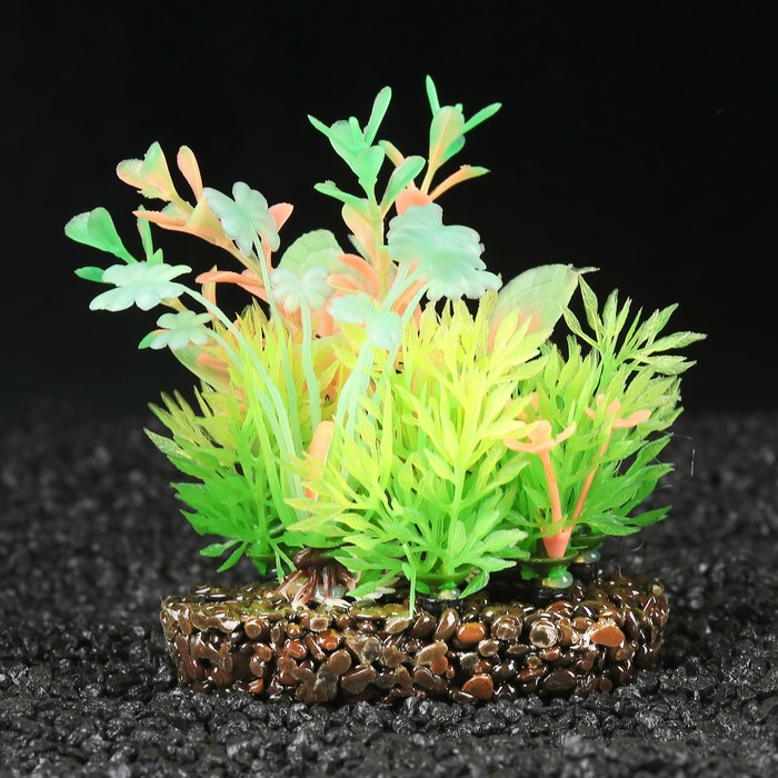 Островок аквариумных растений, светящихся в темноте, 11,5 х 8 х 10 см 