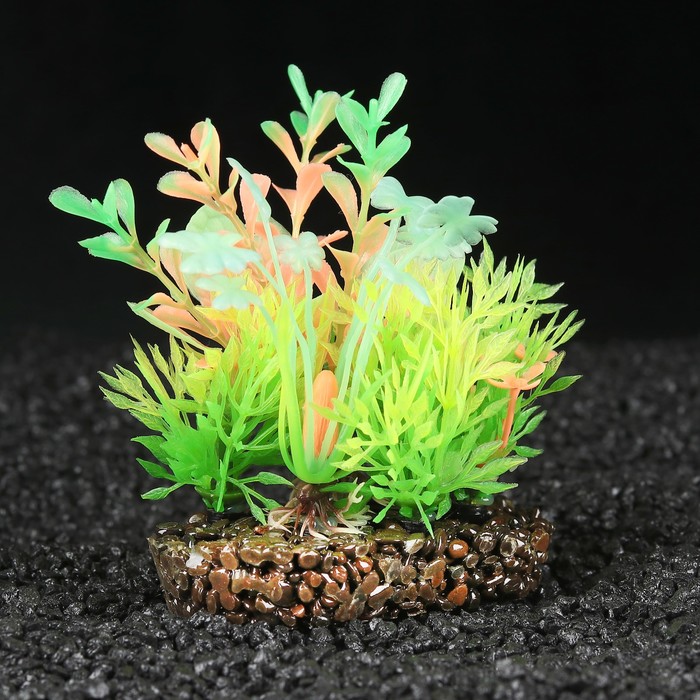 Островок аквариумных растений, светящихся в темноте, 11,5 х 8 х 10 см 