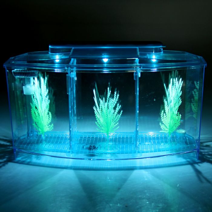 Аквариум-отсадник трехсекционный с подсветкой и светящимися растениями, голубой 