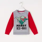 Толстовка детская KAFTAN "Rex-mas" р.32 (110-116), серый/красный 