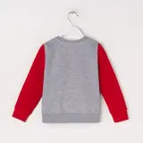 Толстовка детская KAFTAN "Rex-mas" р.32 (110-116), серый/красный  - фото 5