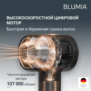 Фен Rowent Blumia HY5N10E0 Blue
