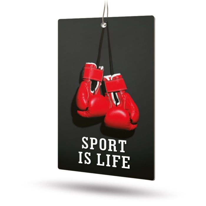 Ароматизатор AVS Sport is Life, "Брутал", бумажный 