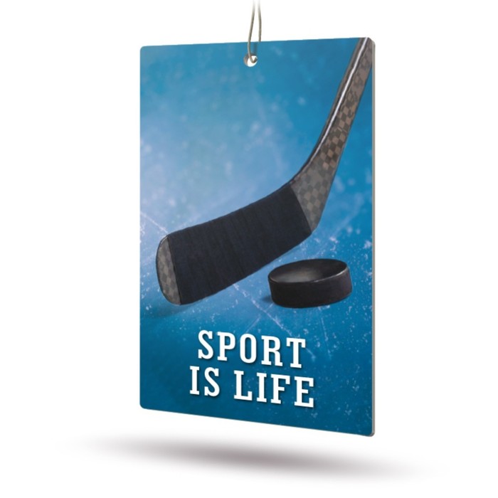 Ароматизатор AVS Sport is Life, "Океан", бумажный 