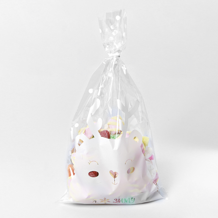 Пакет подарочный пластиковый «Я люблю зиму», 20 х 35 см 