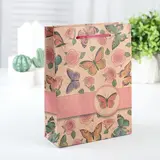 Пакет Крафт 15 х 20 х 6 см 