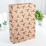 Пакет Крафт 24 х 33 х 8 см 