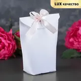 Пакет бумажный 5,5 х 8 х 16 см 