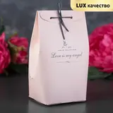 Пакет бумажный 17,5 х 9 х 7 см 