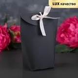 Пакет бумажный 5,5 х 8 х 16 см 