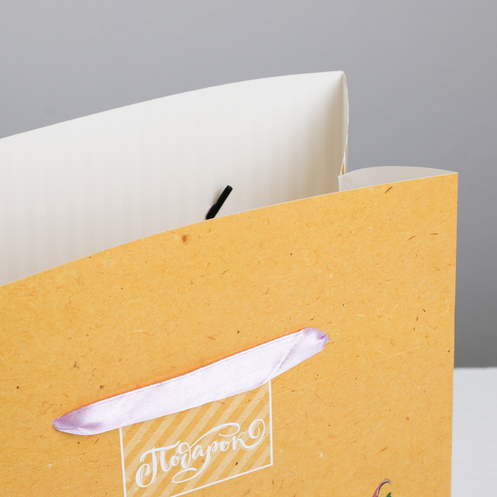 Пакет—коробка «Подарок», 23 × 18 × 11 см 