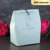 Пакет бумажный 11 х 18 х 25 см 