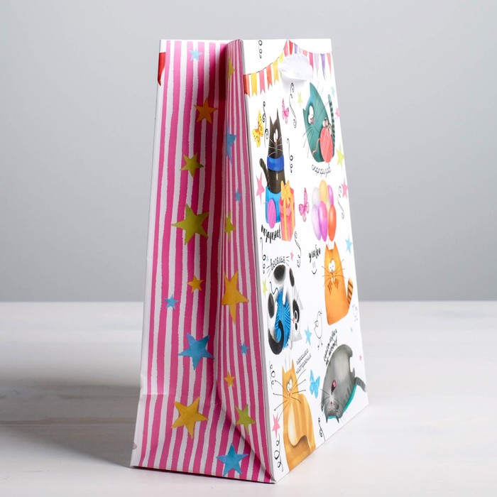 Пакет ламинированный вертикальный «Забавные коты», ML 23 × 27 × 8 см 