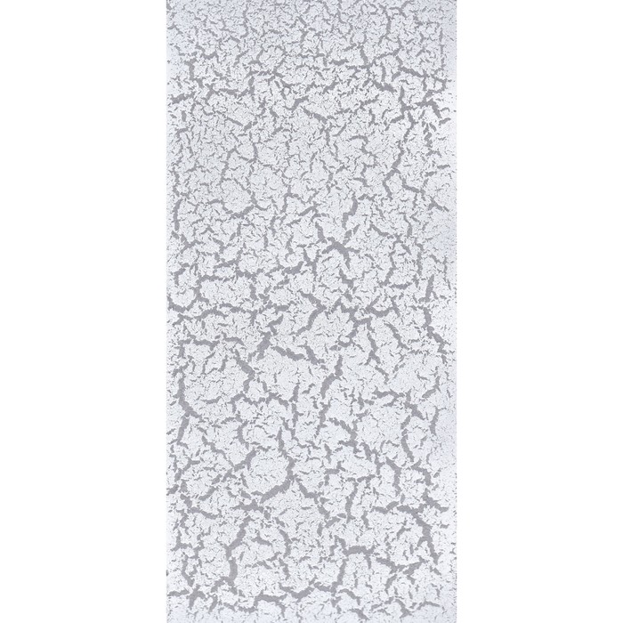 Набор "Siana Эффект кракелюра" базовый слой Серебро 0,52мл + финишный слой Белый 0,52мл 
