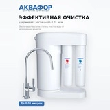 Система обратного осмоса Аквафор Морион DWM-101S - фото 3