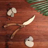 Сувенирное оружие "Нож-бабочка", 27 см 