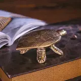 Сувенир латунь "Черепаха шкатулка" 12х7х3 см  - фото 5