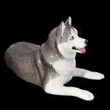 Сувенир собачка «Хаски»  - фото 2