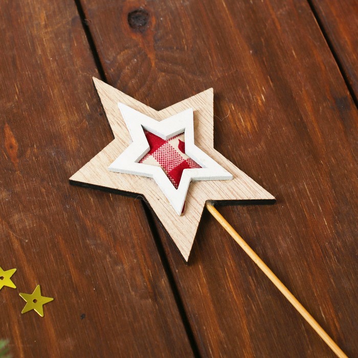 Декор на палочке "Уютная звезда" 