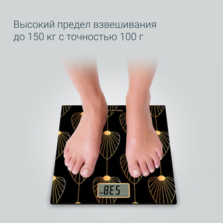 Весы Rowenta Premiss BS1438V0