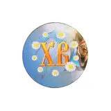 Магнит "ХВ" ромашки; ассорти, 40 мм 