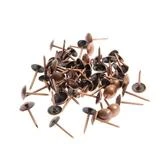 Гвозди декоративные, 8х15 мм, цвет медь, в упаковке 500 шт. 