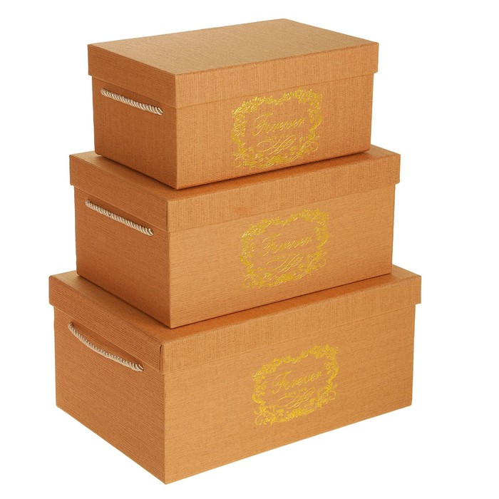 Набор коробок 3 в 1, оранжевый, 32,5 х 22 х 15 - 25 х 16 х 11 см 