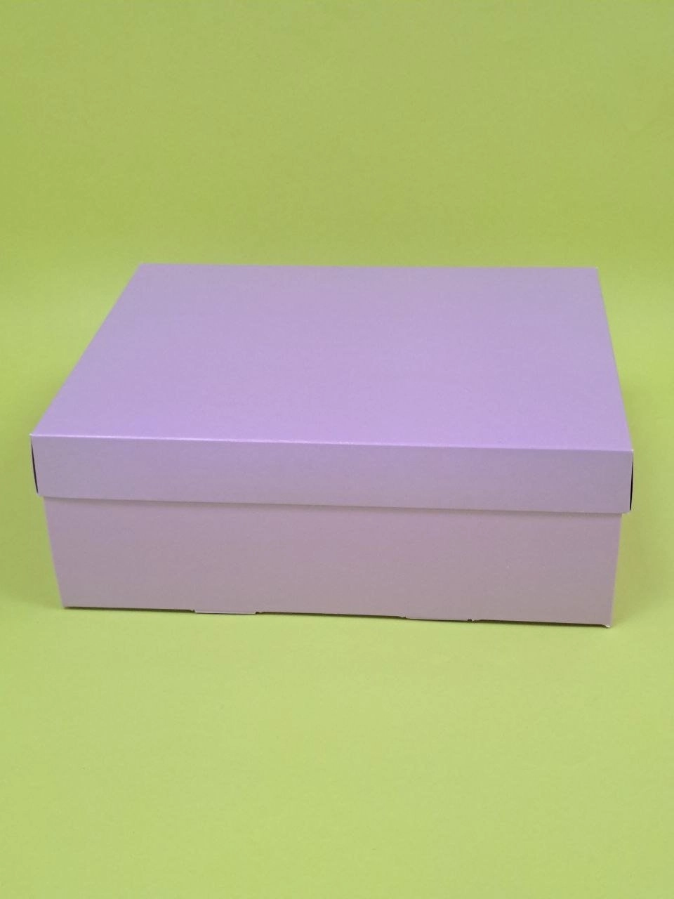 Набор коробок Fortress box 10 шт, 25х20х9 см 