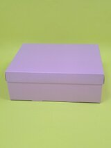Набор коробок Fortress box 10 шт, 25х20х9 см 