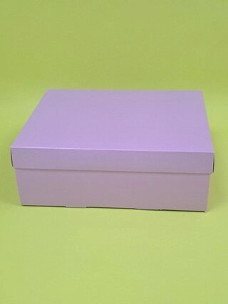 Набор коробок Fortress box 10 шт, 25х20х9 см 