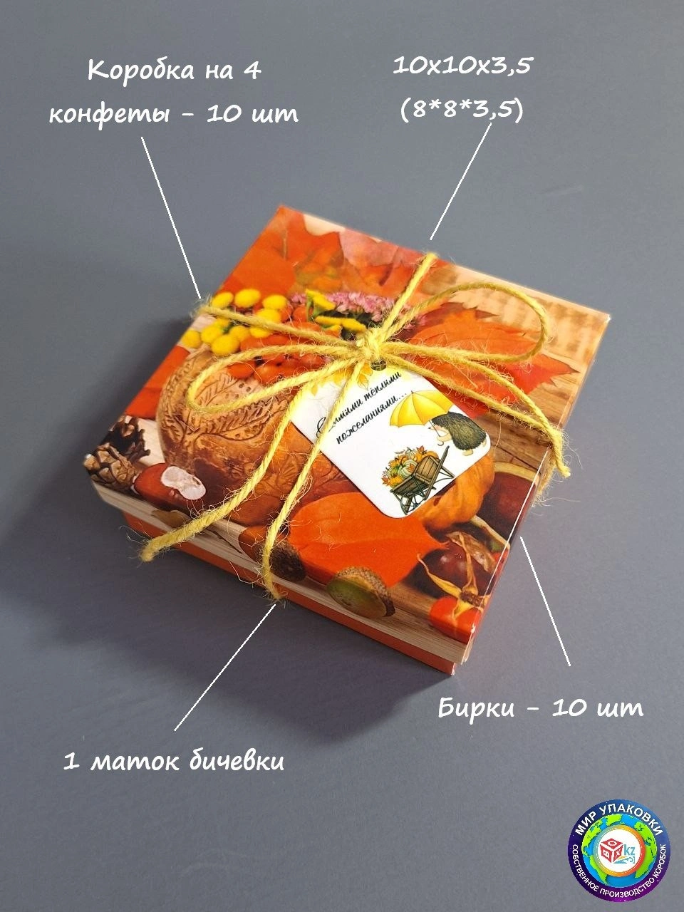 Набор коробок Fortress box 10 шт, 10х10х3.5 см 