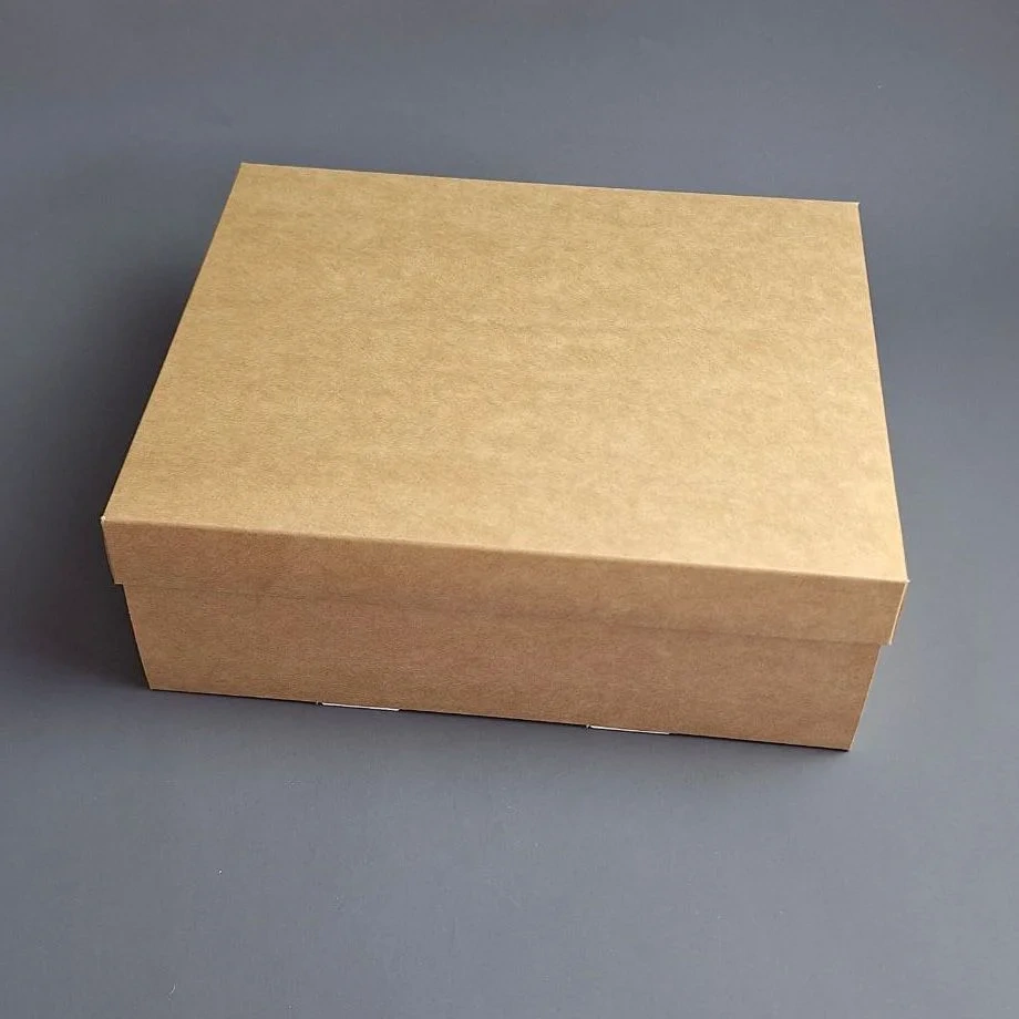 Коробка Box.kz 25х20х9 см 5 шт крафт 