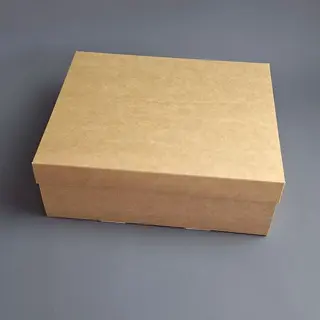 Коробка Box.kz 25х20х9 см 5 шт крафт 