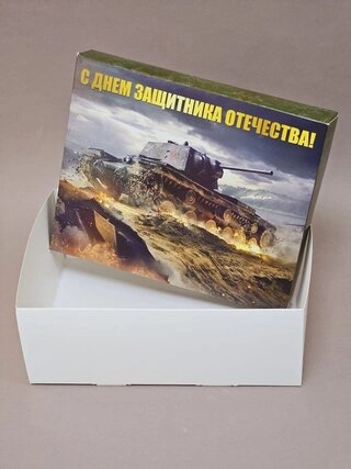 Набор коробок Fortress box 10 шт, 25х20х9 см 