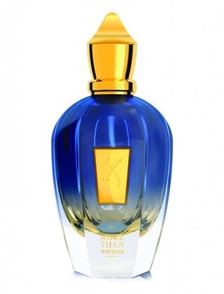 Парфюмированная вода Xerjoff More Than Words 50мл 