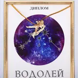 Подарочный набор диплом и брошь знаки зодиака "Водолей"  - фото 6