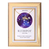 Подарочный набор диплом и брошь знаки зодиака "Козерог"  - фото 3