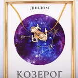 Подарочный набор диплом и брошь знаки зодиака "Козерог"  - фото 6