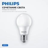 Лампа Philips Ecohome LED Bulb 9.5W 1055lm E27 840 UCCA - фото 4