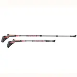 Палки для спортивной ходьбы Yamaguchi Winner