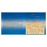 Ипликатор игольчатый «Коврик», 85 колючек, 25х40 см  - фото 4