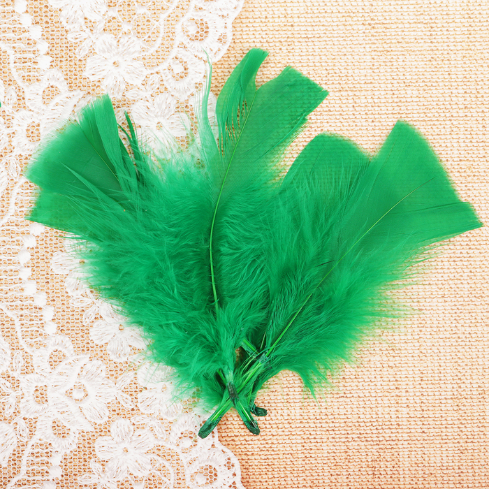 Набор перьев для декора 10 шт., размер 1 шт: 10 × 4 см, цвет светло зелёный 
