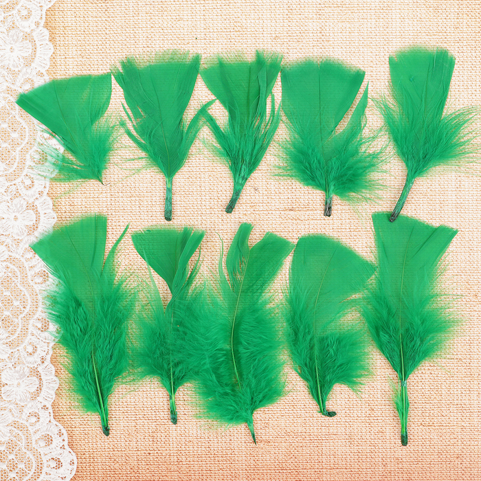 Набор перьев для декора 10 шт., размер 1 шт: 10 × 4 см, цвет светло зелёный 